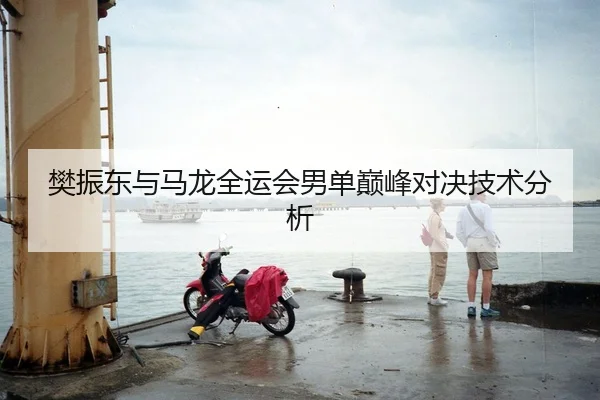 樊振东与马龙全运会男单巅峰对决技术分析